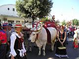 FestaUva (1)